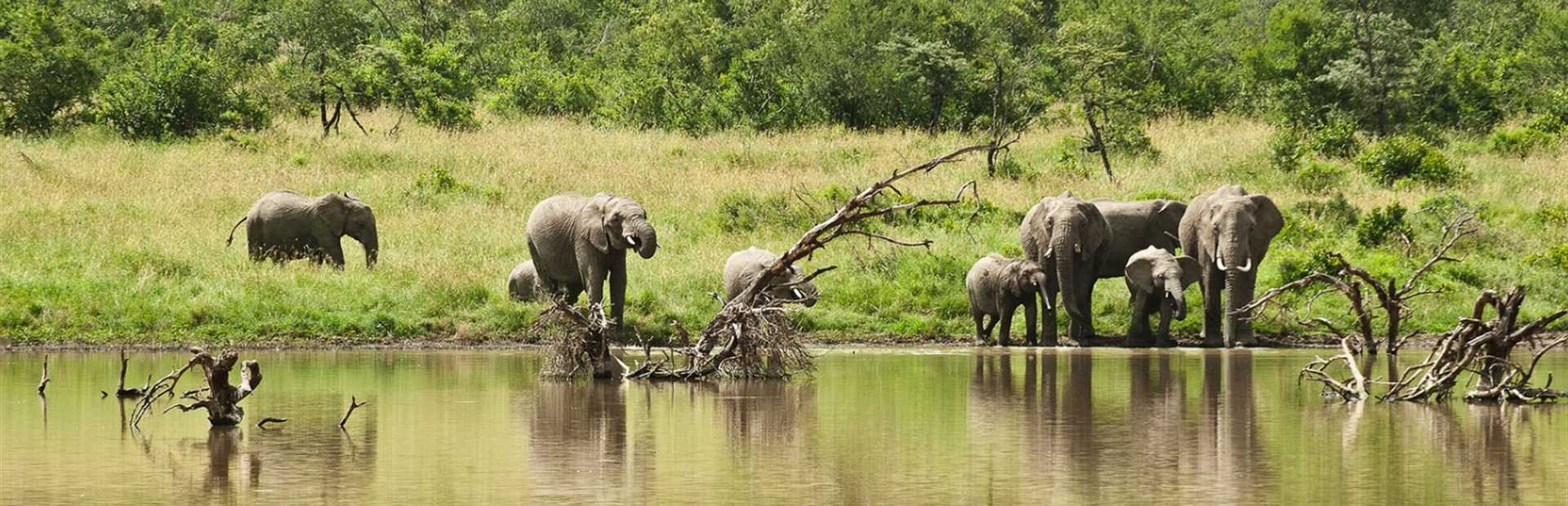 Laikipia Plateau & Lewa Downs